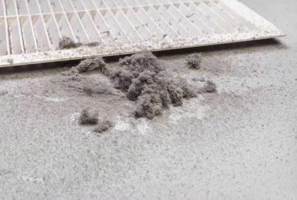 Best Local Air Duct Cleaning Services  in Navy, VA