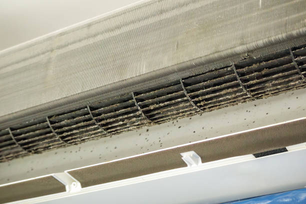 Best Air Duct Mold Removal  in Navy, VA