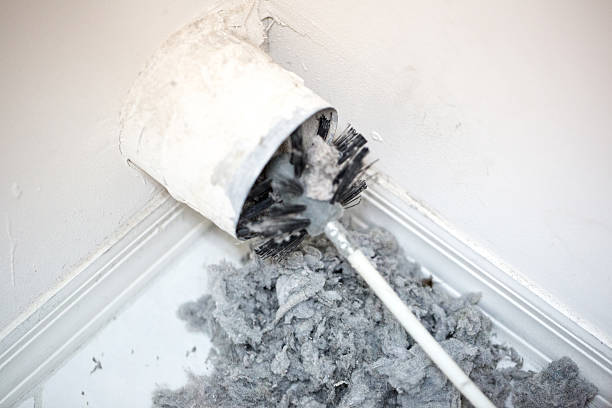 Best HVAC Maintenance and Cleaning  in Navy, VA